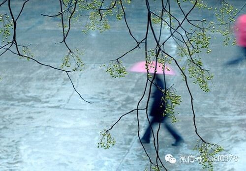 連日秋雨，警惕這些疾病乘虛而入！