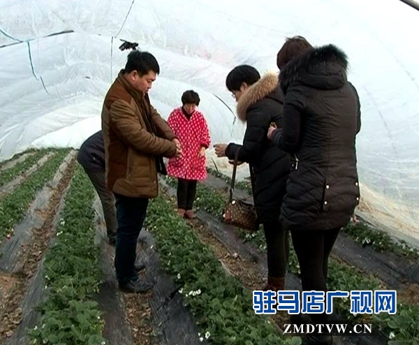 暴風截圖2016125708962_副本.jpg