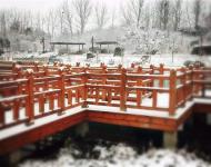 連已經(jīng)結(jié)冰的湖水邊、橋欄上，都留下了這個(gè)冬天最美的一幕！