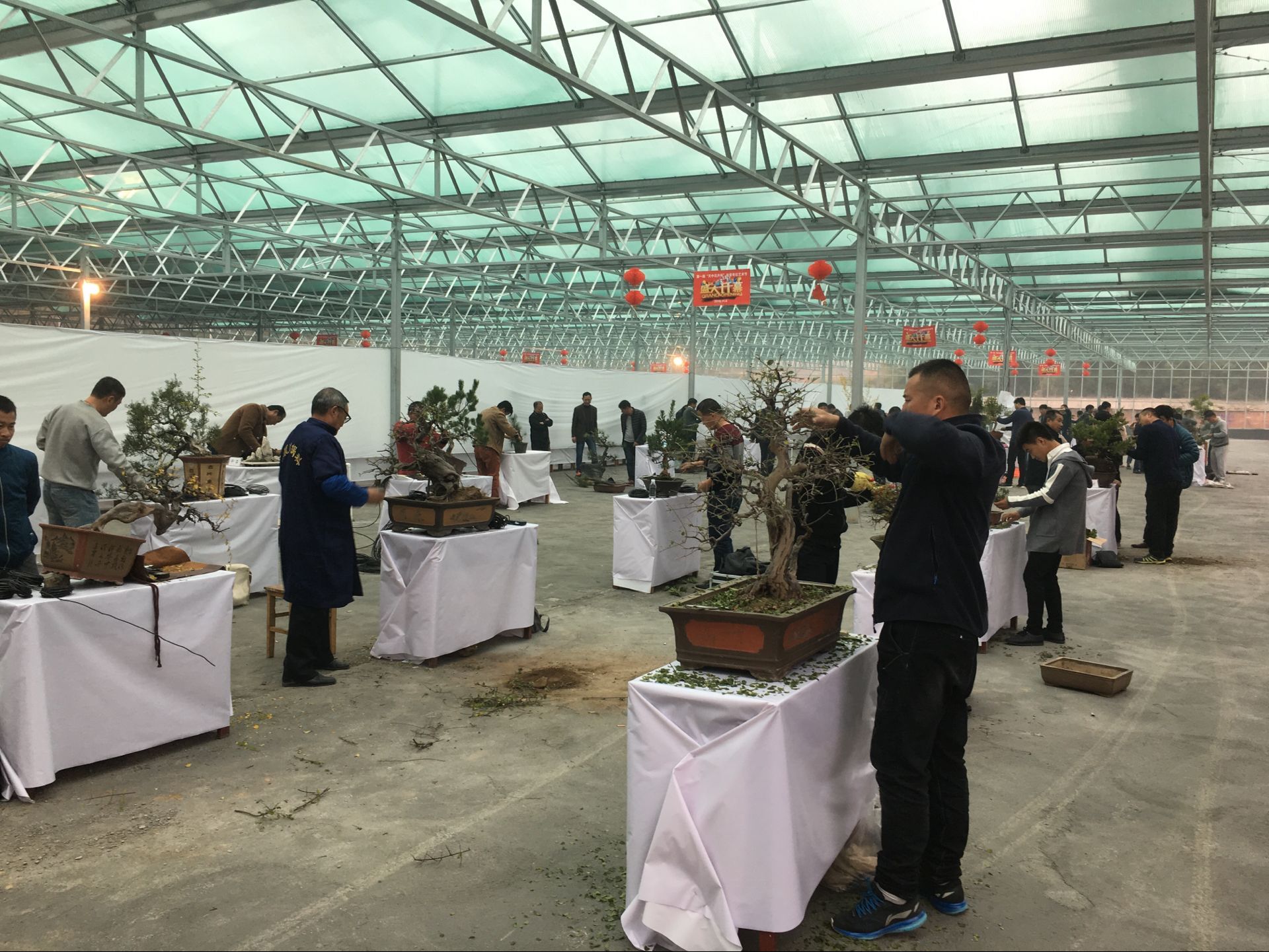 駐馬店首屆盆景藝術(shù)展在天中花卉市場(chǎng)開展