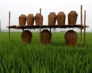 近年來，留莊鎮(zhèn)以發(fā)展現(xiàn)代生態(tài)農(nóng)業(yè)和鄉(xiāng)村旅游為抓手，以留莊鎮(zhèn)觀光稻田公園、富硒生態(tài)大米等農(nóng)產(chǎn)品為突破，致力于打造一個以生態(tài)旅游為主的觀光農(nóng)業(yè)，探索走出一條傳統(tǒng)平原農(nóng)業(yè)鄉(xiāng)鎮(zhèn)發(fā)展特色農(nóng)業(yè)的新路子。以產(chǎn)業(yè)扶貧、精準(zhǔn)扶貧帶動留莊經(jīng)濟發(fā)展，為老百姓找到一條脫貧致富的新出路。（攝影記者/武帥）