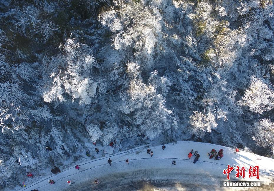 12月20日，重慶金佛山銀裝素裹雪景美如畫，吸引了不少游客前來(lái)觀賞。當(dāng)日，第19屆金佛山冰雪節(jié)正式開(kāi)幕。 陳超 攝