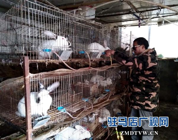 身殘志堅樹榜樣，脫貧致富美名揚