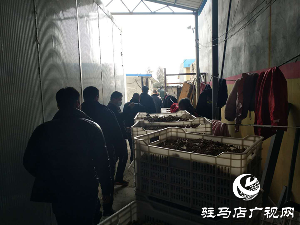 泌陽(yáng)縣高邑鎮(zhèn)查處兩起違反政府禁令私自開(kāi)業(yè)商戶