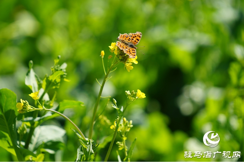 我們堅守，為了早日重逢