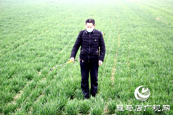 汝南縣古塔街道疫情防控時(shí)期春耕生產(chǎn)有門(mén)道