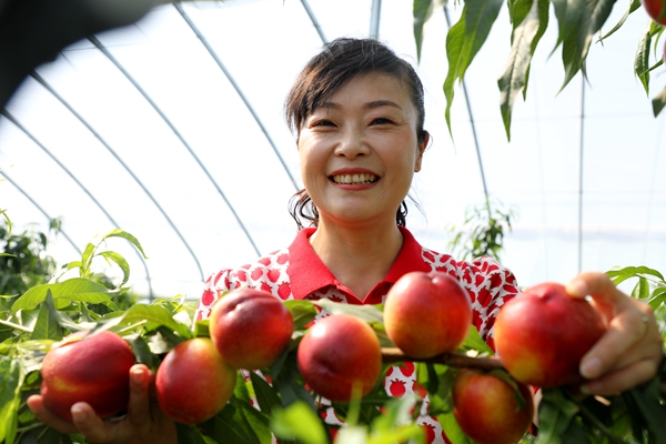 黨員為農(nóng)產(chǎn)品代言，政協(xié)助力脫貧攻堅(jiān)