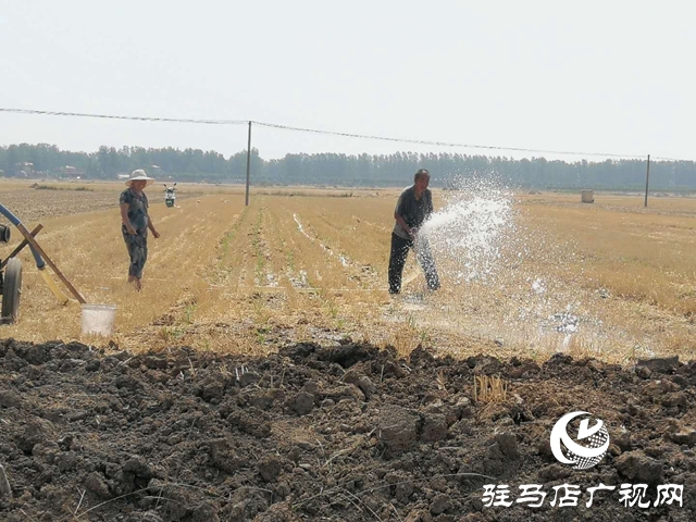 汝南縣邢莊村:筑壩截水、疏通溝渠，抗旱搶種保“三夏”