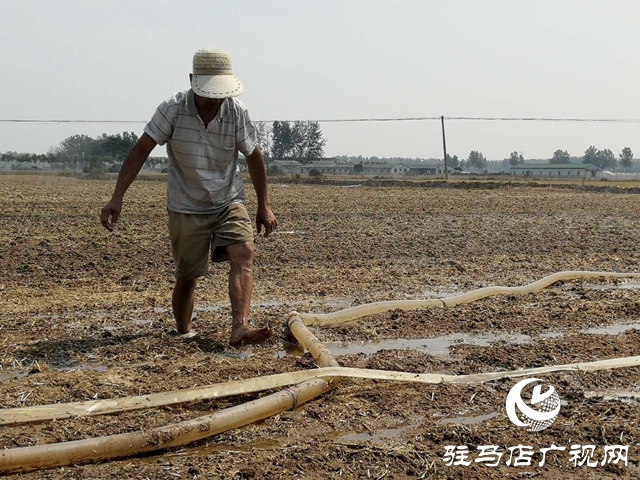 汝南縣邢莊村:筑壩截水、疏通溝渠，抗旱搶種保“三夏”