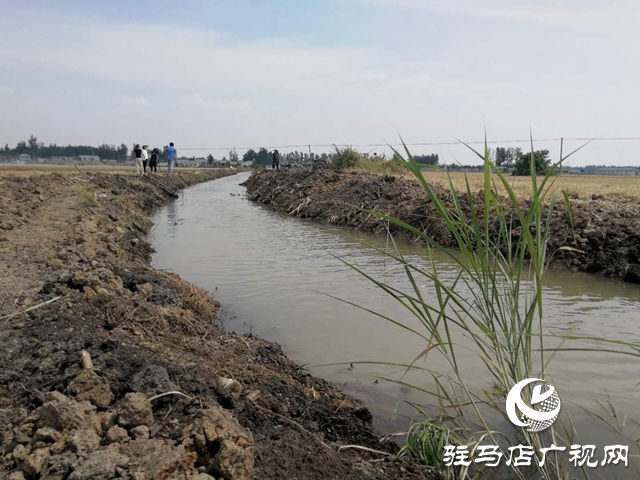 汝南縣邢莊村:筑壩截水、疏通溝渠，抗旱搶種保“三夏”