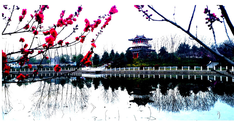 攝影：王線，拍攝于置地公園