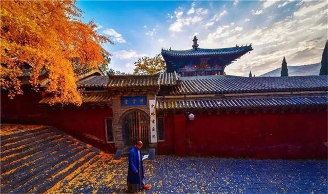 “古剎秋景惹人醉，金色滿園迎賓朋”——嵩山少林寺千年銀杏已到了一年之中最美時(shí)節(jié)！