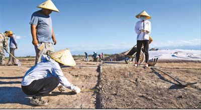 遺址格局逐步清晰，歷史文化內(nèi)涵日益豐富  北庭故城考古發(fā)現(xiàn)不斷深入
