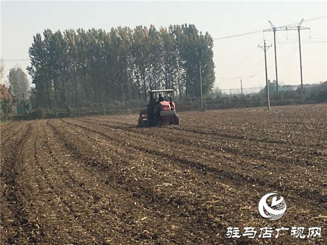 噸源種業(yè)組織召開小麥播種現場會