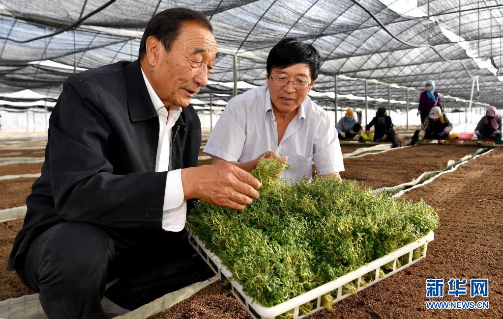 奮斗百年路 啟航新征程·“七一勛章”獲得者｜治沙英雄石光銀：干成治沙一件事，就算沒白活