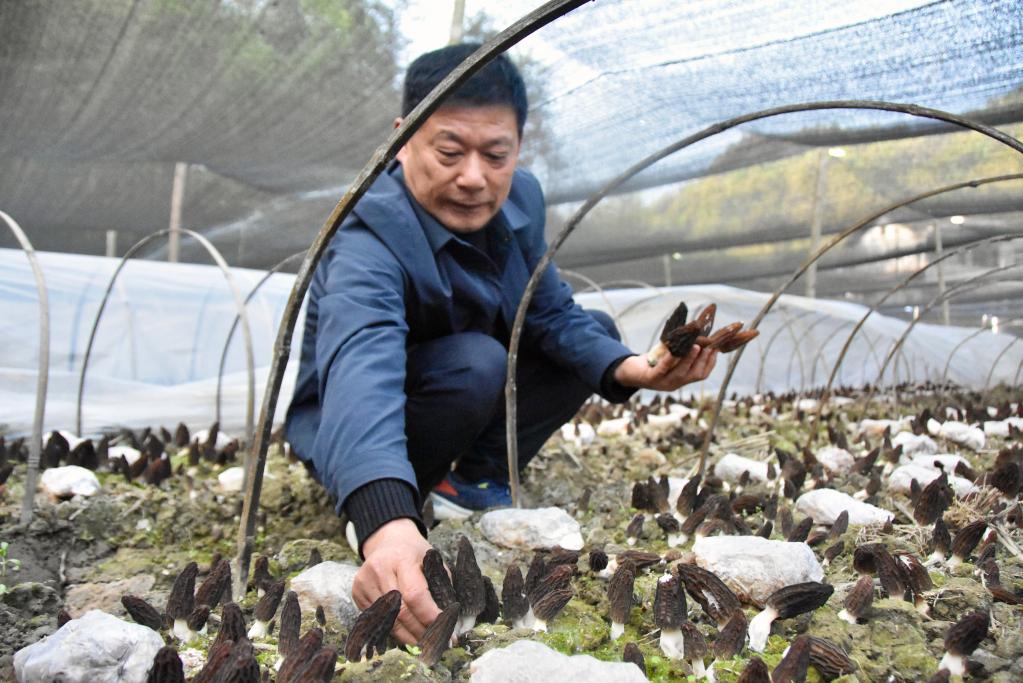 奮進(jìn)新征程 建功新時代丨漢江源頭活水來