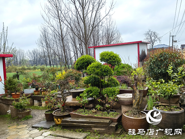 上蔡縣大路李鄉(xiāng)：強(qiáng)“本手”、創(chuàng)“妙手”、減“俗手”助力人居環(huán)境大嬗變
