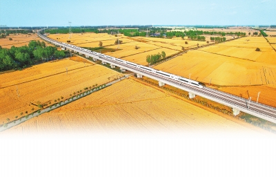 2022年河南夏糧總產量和播種面積均居全國首位