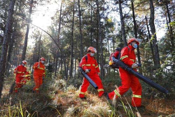 河南進入防火緊要期 全省63個重點林區(qū)實施“空、天、地”一體化全天候監(jiān)測