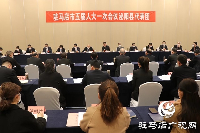 兩會時(shí)間｜駐馬店市人大代表分團(tuán)審議 政府工作報(bào)告審查計(jì)劃報(bào)告、 預(yù)算報(bào)告和草案