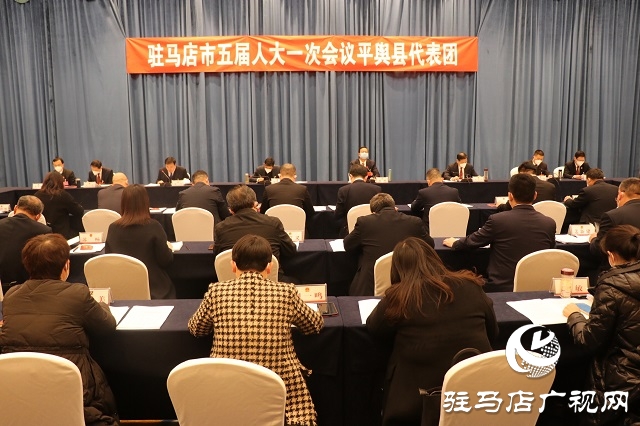 兩會時(shí)間｜駐馬店市人大代表分團(tuán)審議 政府工作報(bào)告審查計(jì)劃報(bào)告、 預(yù)算報(bào)告和草案