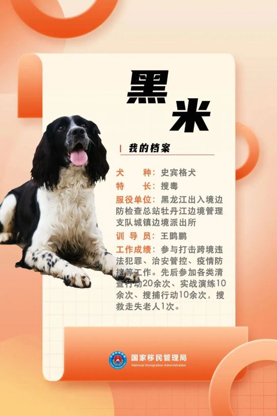 國(guó)家首批“功勛犬”，來(lái)了！