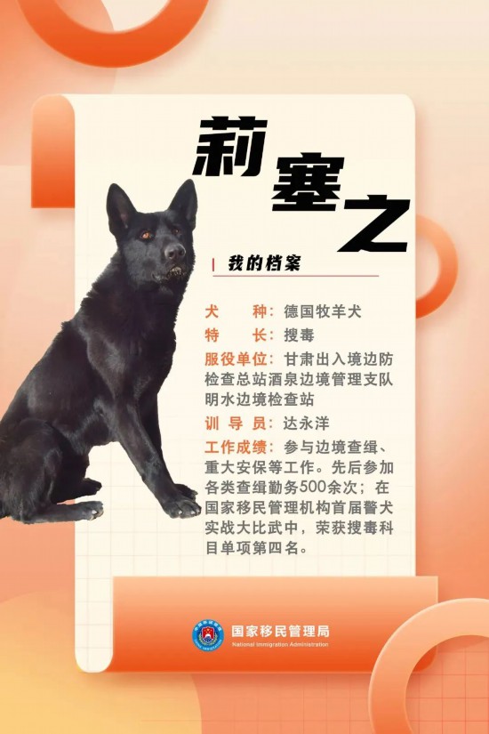 國(guó)家首批“功勛犬”，來(lái)了！