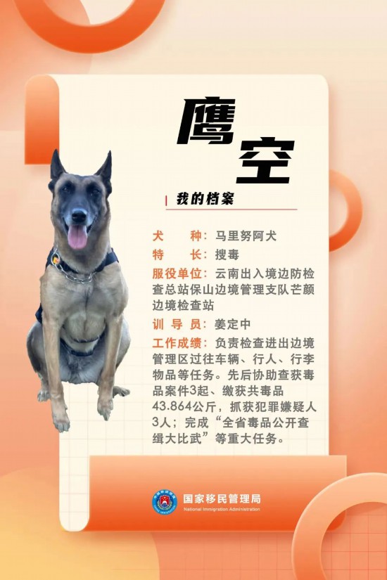 國(guó)家首批“功勛犬”，來(lái)了！