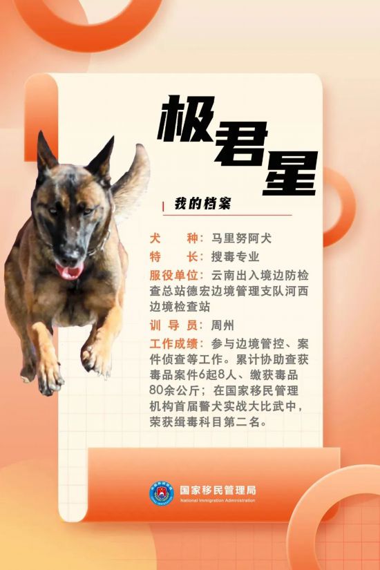 國(guó)家首批“功勛犬”，來(lái)了！