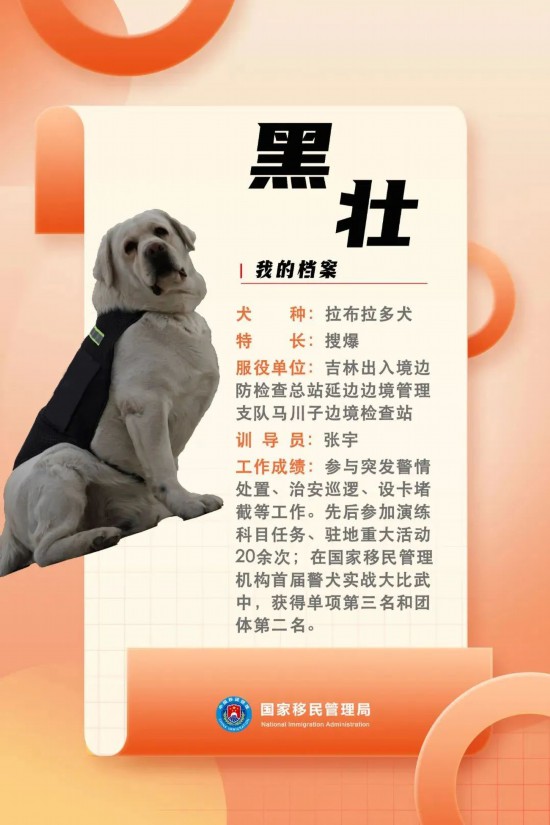 國(guó)家首批“功勛犬”，來(lái)了！