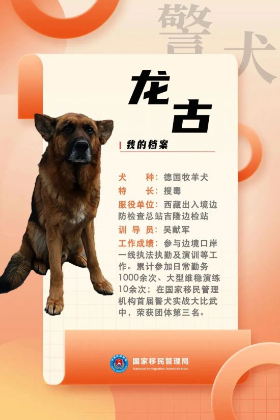 國(guó)家首批“功勛犬”，來(lái)了！