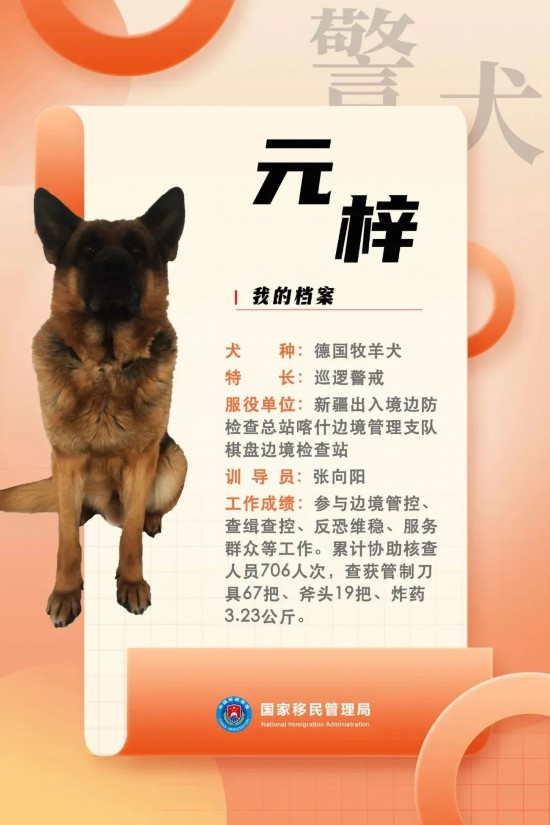 國(guó)家首批“功勛犬”，來(lái)了！