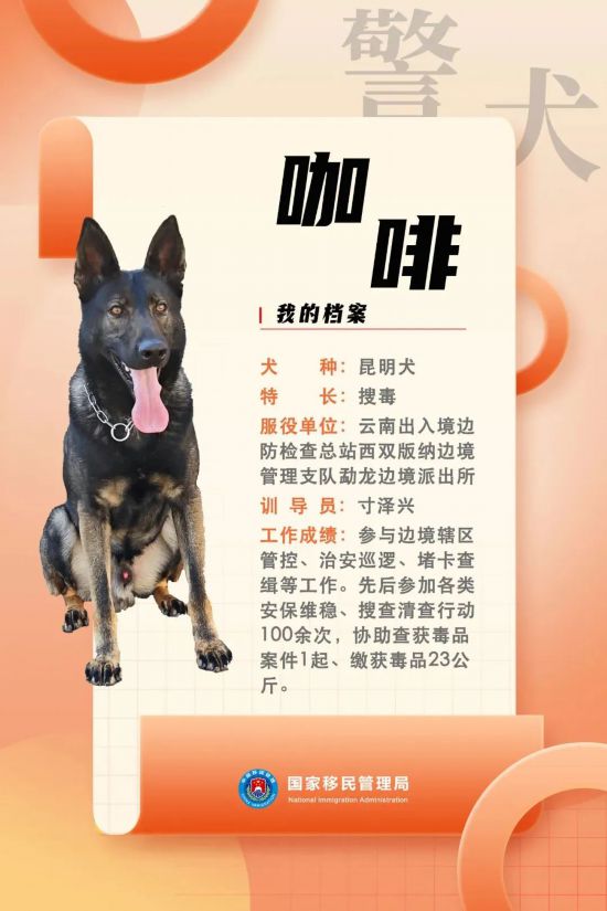 國(guó)家首批“功勛犬”，來(lái)了！