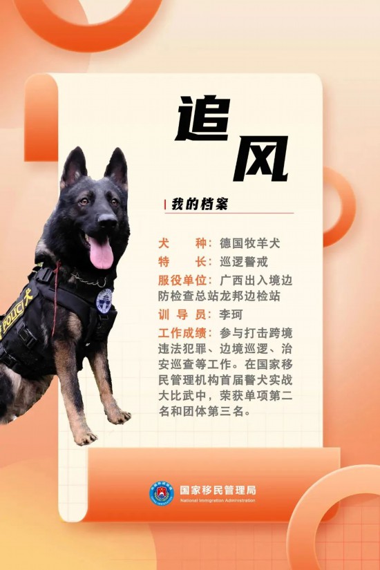 國(guó)家首批“功勛犬”，來(lái)了！