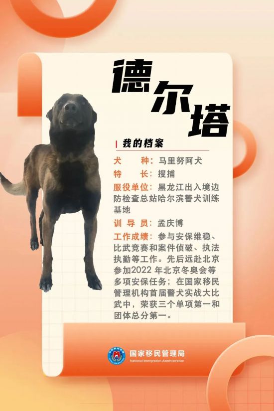 國(guó)家首批“功勛犬”，來(lái)了！