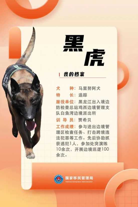 國(guó)家首批“功勛犬”，來(lái)了！