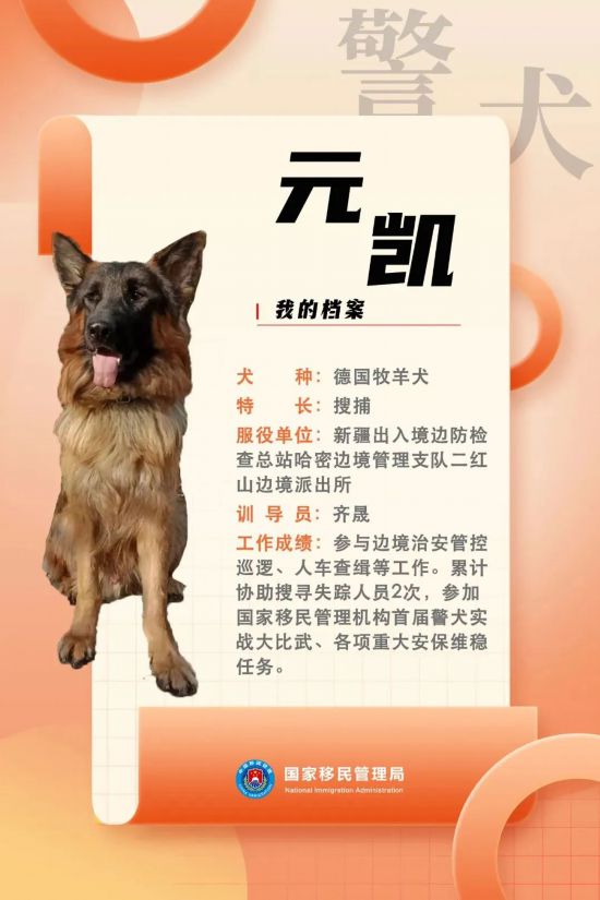 國(guó)家首批“功勛犬”，來(lái)了！