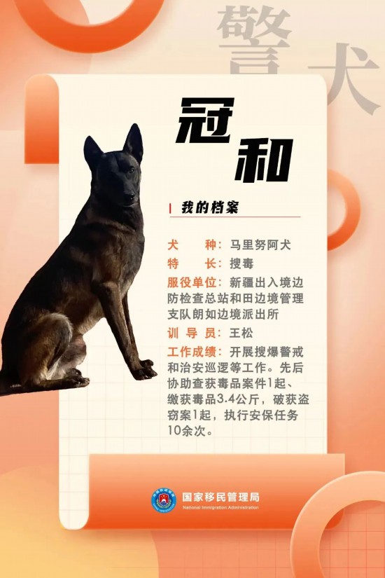 國(guó)家首批“功勛犬”，來(lái)了！