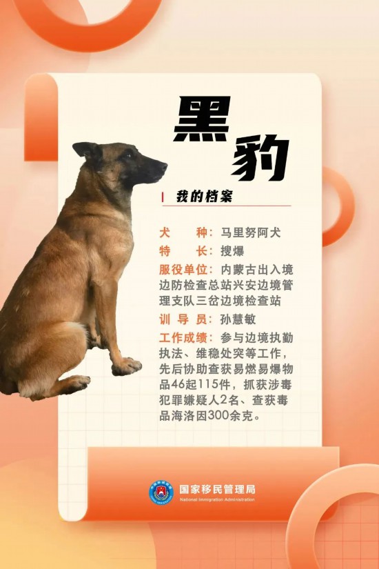 國(guó)家首批“功勛犬”，來(lái)了！