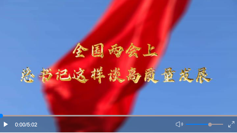  全國(guó)兩會(huì)上，總書記這樣談高質(zhì)量發(fā)展