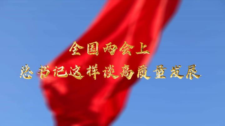  全國(guó)兩會(huì)上，總書記這樣談高質(zhì)量發(fā)展