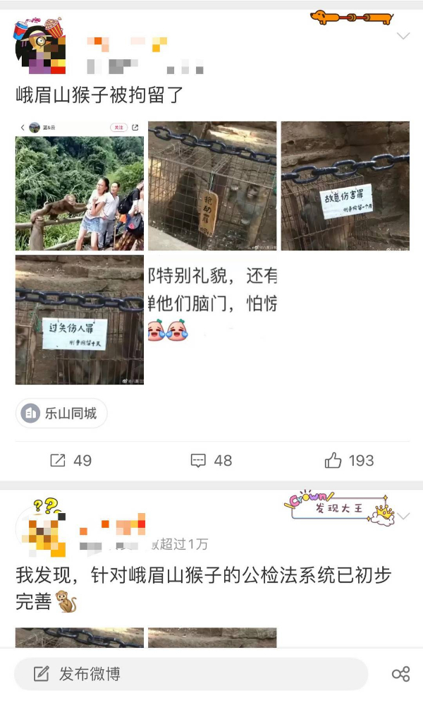 峨眉山猴子被拘留？假的！峨眉山猴子是國家二級保護動物