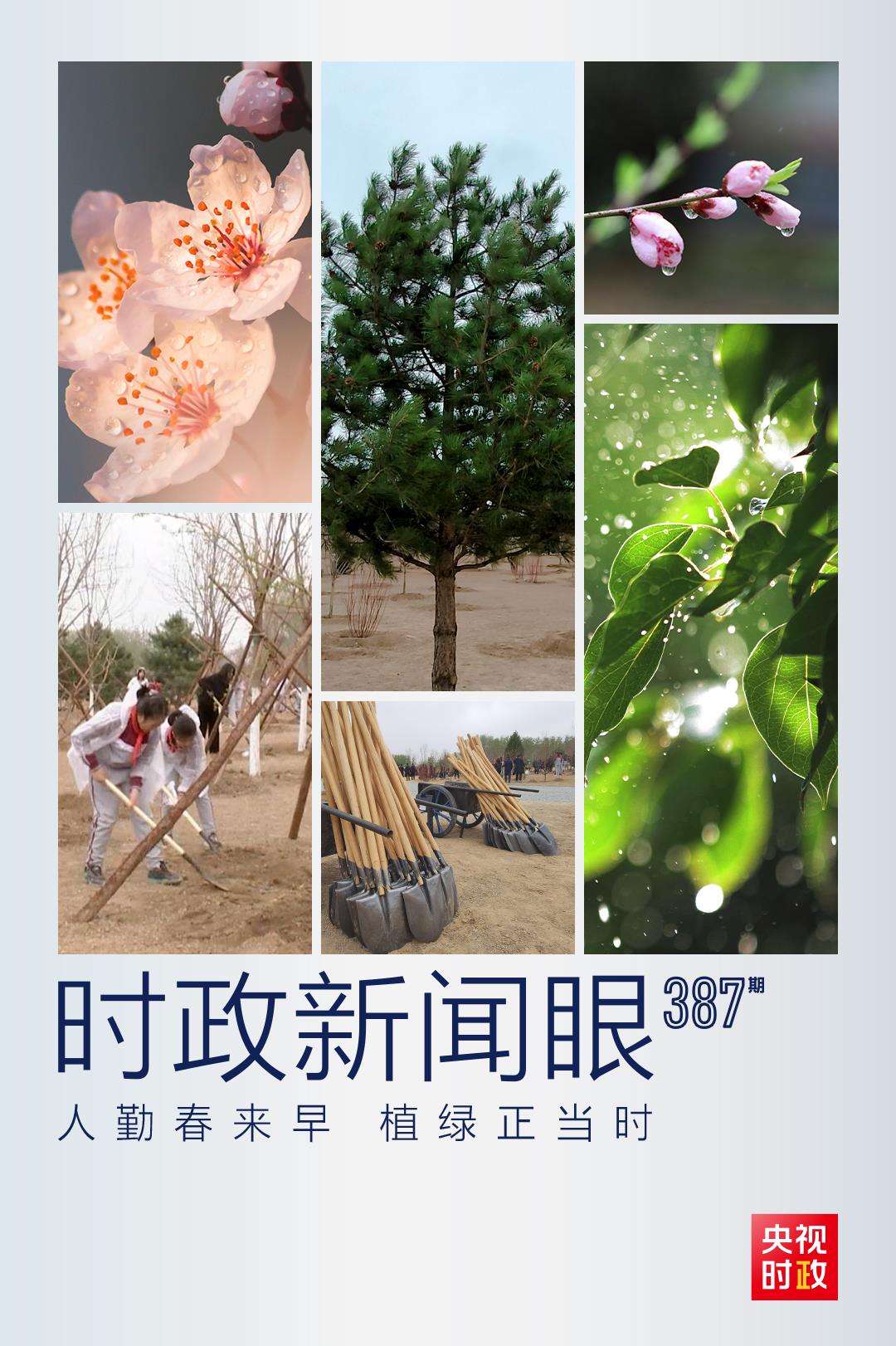 時(shí)政新聞眼丨在今年首都義務(wù)植樹現(xiàn)場，習(xí)近平這三句話飽含深意