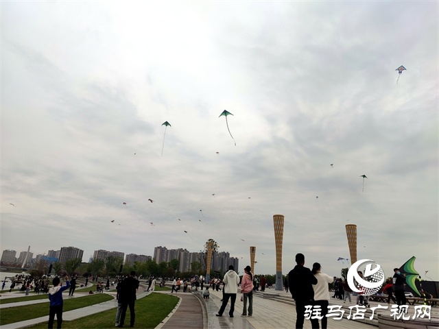 陽(yáng)光明媚 春風(fēng)習(xí)習(xí)?公園放風(fēng)箏人氣高 