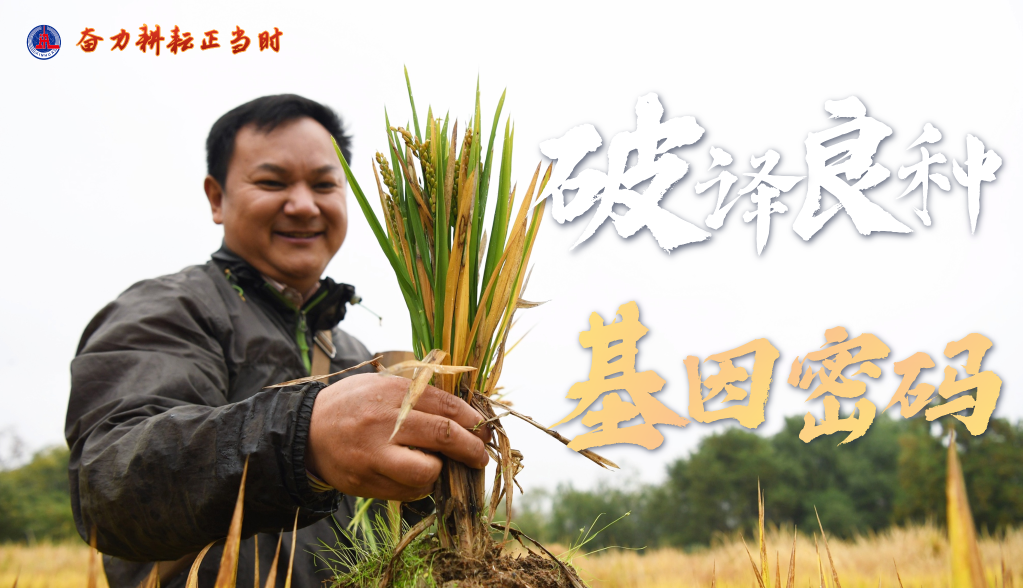 新時代新征程新偉業(yè)·習近平總書記關切事丨奮力耕耘正當時——農業(yè)強國建設一線的四個故事