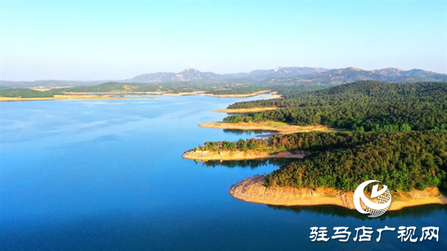 六月的泌陽(yáng)，美出圈了！