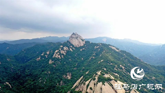 六月的泌陽(yáng)，美出圈了！