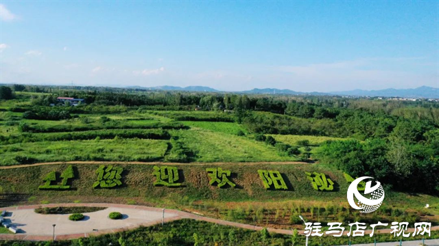 六月的泌陽(yáng)，美出圈了！