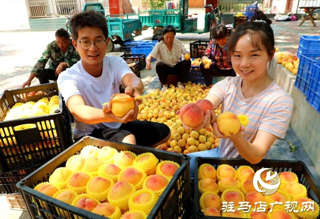 駐馬店市驛城區(qū)：返鄉(xiāng)創(chuàng)業(yè)大學生做鄉(xiāng)村振興“新農(nóng)人”