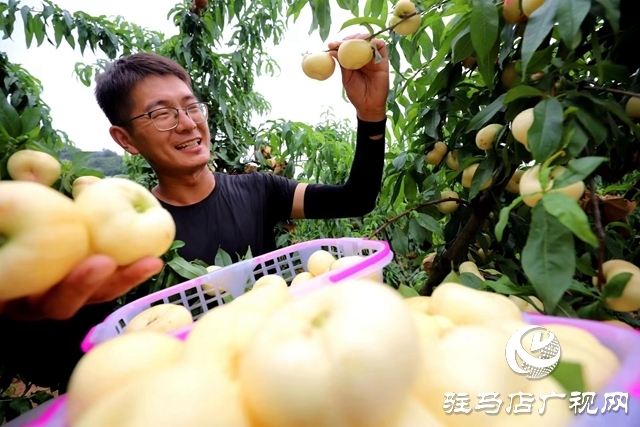 駐馬店市驛城區(qū)：返鄉(xiāng)創(chuàng)業(yè)大學生做鄉(xiāng)村振興“新農(nóng)人”